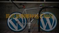 陈皮是用哪种桔子做的 